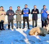 Sivas'ta kar yağışı sonrası ş&uuml;k&uuml;r kurbanı kesildi