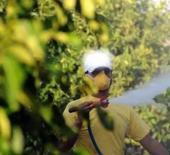 5 soruda tarımda "B-Re&ccedil;ete" uygulaması