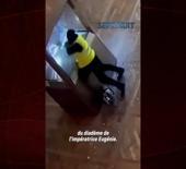 D&uuml;nyanın konuştuğu Fransa'daki Louvre soygununun yeni g&ouml;r&uuml;nt&uuml;leri ortaya &ccedil;ıktı