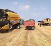 Tarımda t&uuml;m zamanların en y&uuml;ksek yıllık ihracatı