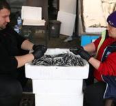 Hamsi tutkunları dikkat! Yaz ortasında da yiyebileceksiniz 