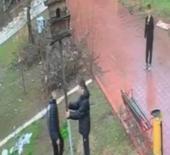 Bunu neden yaptınız? Parktaki kuş yuvasını par&ccedil;aladılar