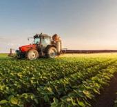 Ege B&ouml;lgesi'nin 2025'teki tarım &uuml;r&uuml;nleri ihracatı 7,5 milyar dolara ulaştı