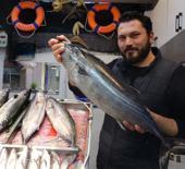 &Ccedil;anakkale'de torik tezg&acirc;hlara ge&ccedil; geldi: Fiyatı duyan iki kez d&uuml;ş&uuml;nd&uuml; 