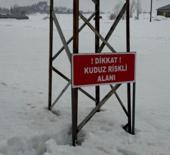 Hakkari'de bir eşekte kuduz tespit edildi! K&ouml;y karantinaya alındı