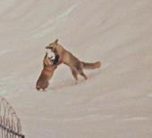 Dron &ouml;yle bir g&ouml;r&uuml;nt&uuml; kaydetti ki! İzleyenler tekrar tekrar oynattı