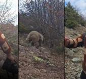 Ayı ile karşı karşıya kaldı: Y&uuml;rek hoplatan anlar kamerada