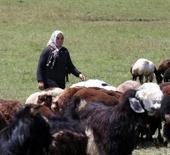 &Ccedil;ift&ccedil;iler hayvancılığa destek projesinden memnun!