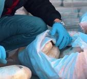 İki ilde dev operasyon: 406 kilogram uyuşturucu madde ele ge&ccedil;irildi 