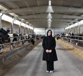 Ev hanımlığından dev &ccedil;iftlik sahipliğine: 900 b&uuml;y&uuml;kbaşla &uuml;retim yapıyor