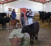 Devlet desteğiyle besiciliğe başlamıştı! 5 ayda hayvan sayısını ikiye katladı