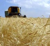 Tarımda dijital d&ouml;n&uuml;ş&uuml;m merkeze alınacak