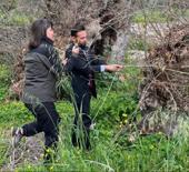 Doğa y&uuml;r&uuml;y&uuml;ş&uuml;nde şaşırtan keşif! Yaşı 2 bin yılı, g&ouml;vdesi 19 metreyi aşıyor