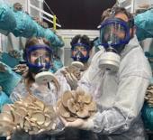 Hobi olarak başladı: G&uuml;nde 1 tona yakın hasat elde ediyor