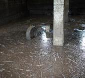 Siirt'te sağanak sonrası facia: 35 k&uuml;&ccedil;&uuml;kbaş akıntıya kapılarak telef oldu