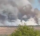 Beykoz'da ormanlık alanda yangın!