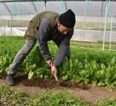 Devlet desteğiyle kurmuştu: Şimdi 7 kişilik ailesine bakıyor!