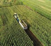 Tarımsal girdi fiyat endeksi şubatta arttı