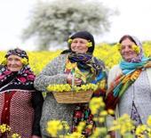 Trakya&rsquo;da agro turizm hareketliliği! Masalsı manzaralara yoğun ilgi