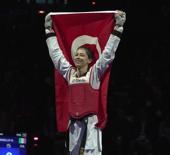 Milli sporcudan Avrupa Şampiyonası'nda altın madalya!