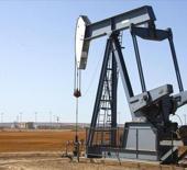 OPEC'in g&uuml;nl&uuml;k ham petrol &uuml;retimi mayısta 180 bin varil azaldı