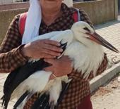 Yolda bitkin halde bulduğu yaralı leyleğe evini a&ccedil;tı!