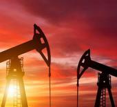 ABD'li dev şirket g&ouml;z&uuml;n&uuml; Diyarbakır'a dikti: Petrol kralı geliyor!