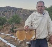 Kilosu 2 bin 200 lira! Bal fiyatları belli oldu