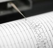 Yeni Zelanda'da deprem! Beşik gibi sallandı!
