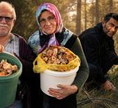 Kilosu 400 liradan 50 liraya d&uuml;şt&uuml;: Kovayı alan ormana koştu