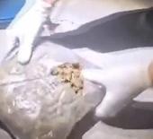 Siirt&rsquo;te 5 kilo 700 gram skunk ele ge&ccedil;irildi; 6 g&ouml;zaltı