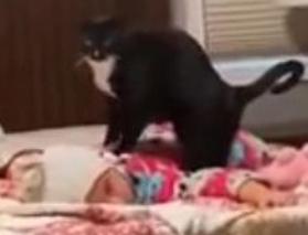 Bebeğe masaj yaparak uyutmaya çalışan kedinin videosu viral oldu!