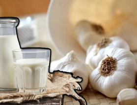 Sarımsaklı sütün faydaları nelerdir? İçenlere doğal antibiyotik etkisi veriyor