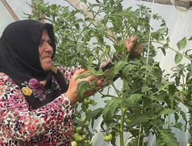 Giresunlu Melek Önal'ın ilham veren hikayesi: "Kendi işimin patronu oldum"