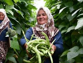 Bilecikli kadın girişimci Hanımşah İkiz’ten örnek başarı: 14 çeşit sebze yetiştiriyor!