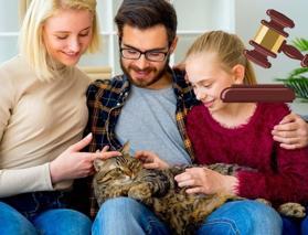 Boşanma davasında mahkemeden emsal karar:“ Kedi Nafakası” dönemi!