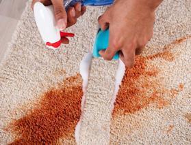 Halıların üzerinde lekeleri saniyeler içinde yok eden yöntem!