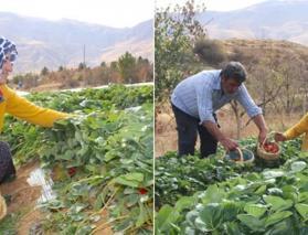 Malatyalı Rabia&rsquo;nın &ccedil;ilek mucizesi: Hobi olarak başladı, aile ge&ccedil;imini sağlıyor!