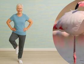 Flamingo testinin sonu&ccedil;ları şaşırtıcı: Tek ayak &uuml;zerinde durun, bedeniniz ka&ccedil; yaşında &ouml;l&ccedil;&uuml;n!