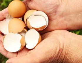 Yumurta kabuğu t&uuml;ketimi trend oldu! Uzmanlar &ouml;nemli uyarılarda bulundu