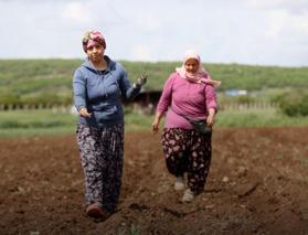 Tarladan &uuml;retime destek: Kırklareli'de kadınlar sabahın ilk ışıklarıyla harekete ge&ccedil;ti!