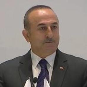Eski Bakan &Ccedil;avuşoğlu&rsquo;nun Fransız vekile yıllar &ouml;nceki tarihi ayarı: "Ger&ccedil;ekleri duymaya alışacaksınız"