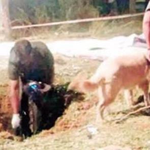 Bunu da g&ouml;rd&uuml;k! G&ouml;ktaşından ilk &ouml;l&uuml;m