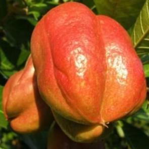 En zararlı 30 yiyecek!