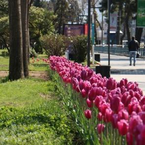 Ordu BB'den bahara &ouml;zel peyzaj &ccedil;alışması