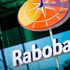 Yabancı uzmanlar Merkez'in kararını yorumladı