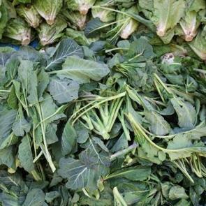 Bu otları tanıyor musunuz?