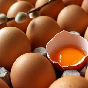 Göbek yağlarınızı eritecek 10 mucizevi besin