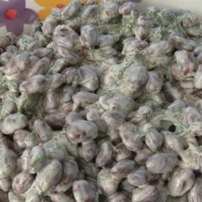 Yoğurt soslu barbunya salatası tarifi