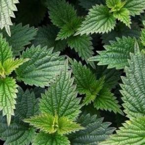 Balla karıştırınca bomba etkisi yapıyor!